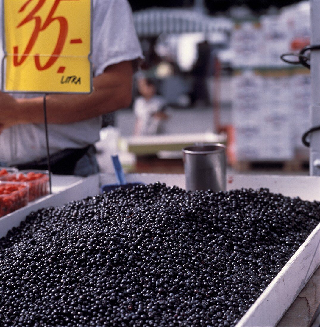 A Bin of Blueberries at the Market