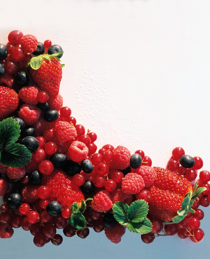 Still Life with Fresh Berries