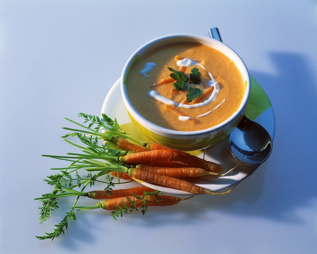 Cream of Carrot Soup with Fresh Carrots