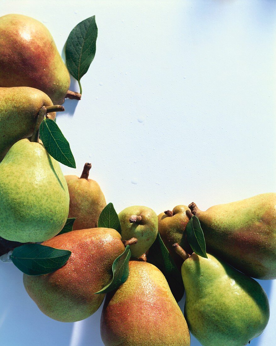 Pears in a Crescent Shape