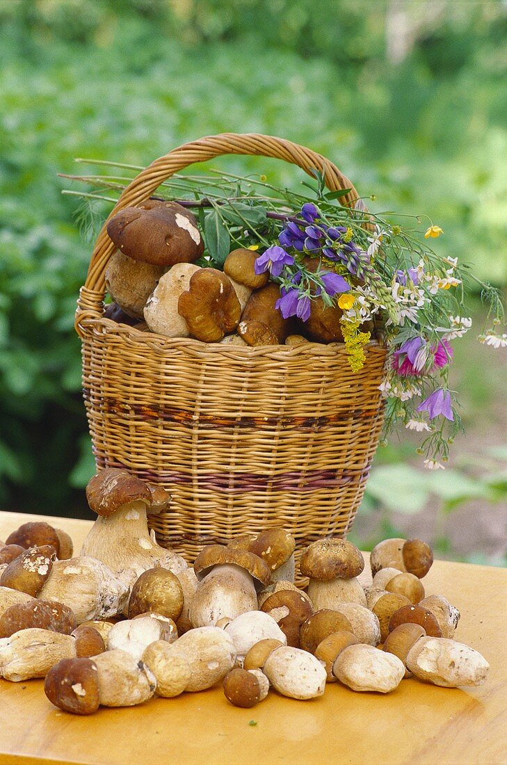 Fresh ceps with basket and meadow flowers