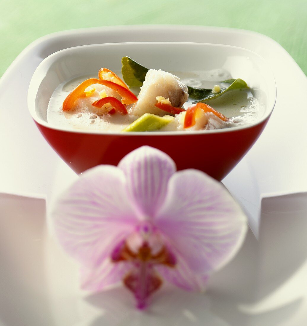Fischsuppe mit Kokosmilch (Thailand)
