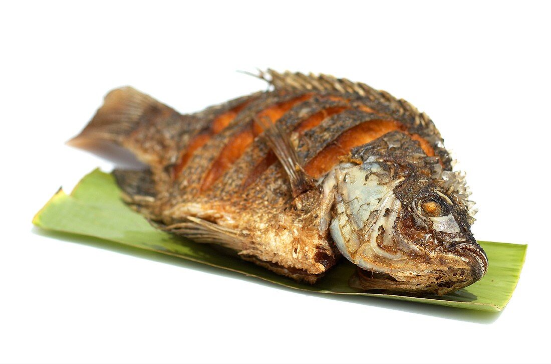 Deep-fried Tilapia fish