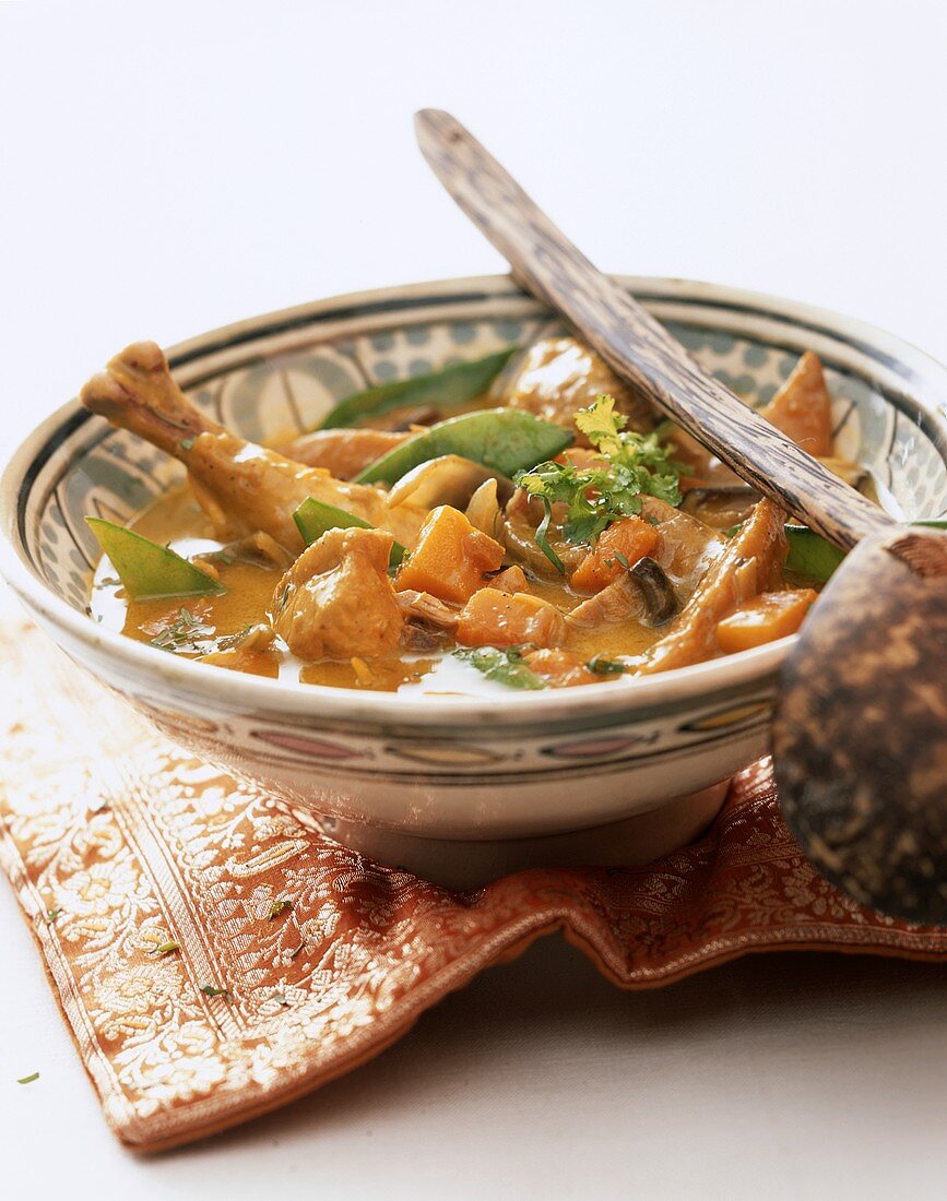 Chicken and vegetable curry from India