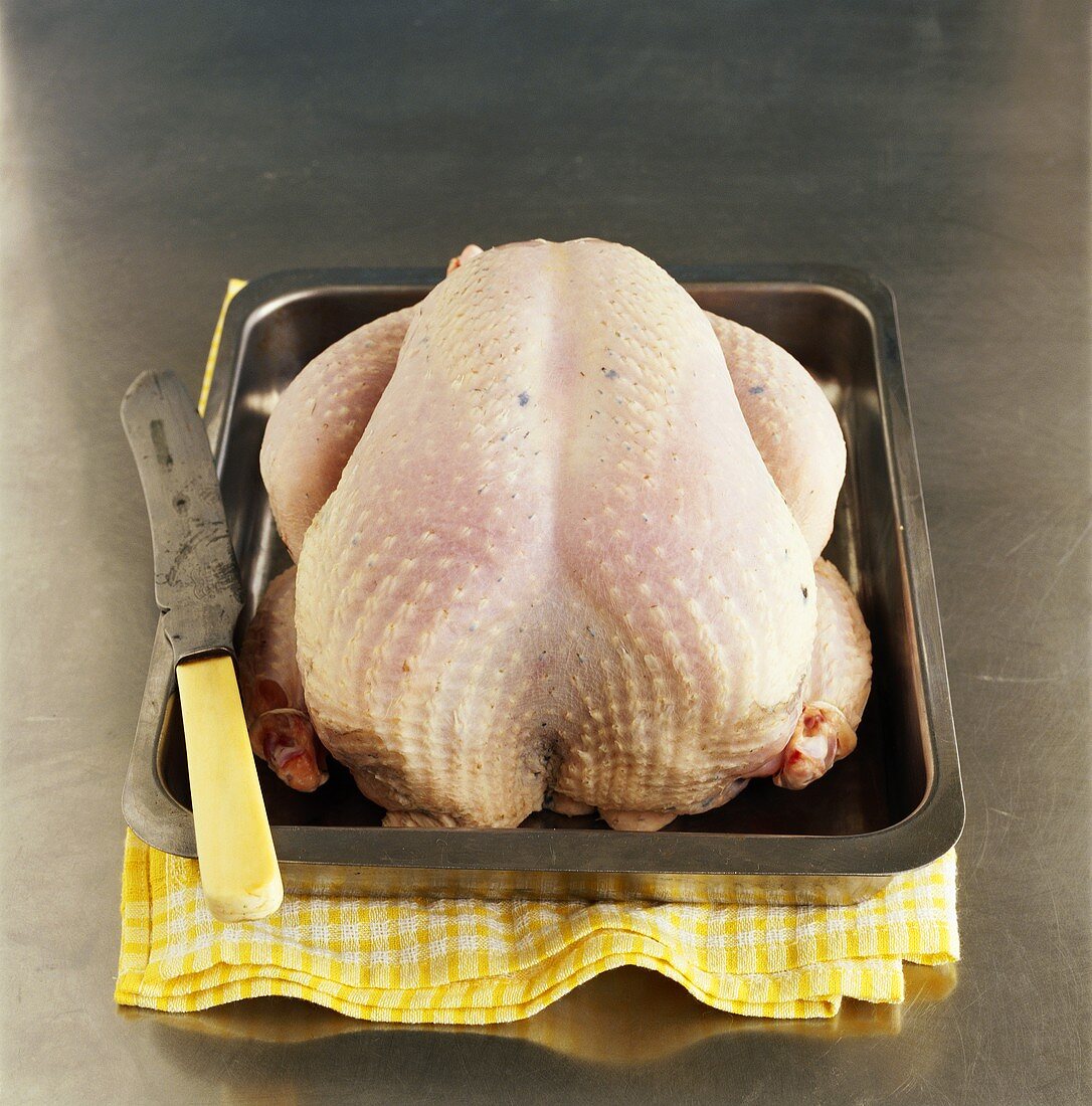 Fresh turkey in roasting dish