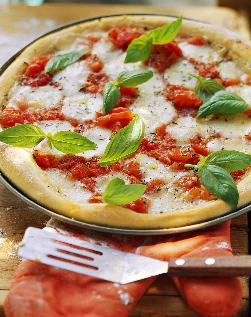 Pizza Margherita (Pizza mit Mozzarella, Tomaten & Basilikum)