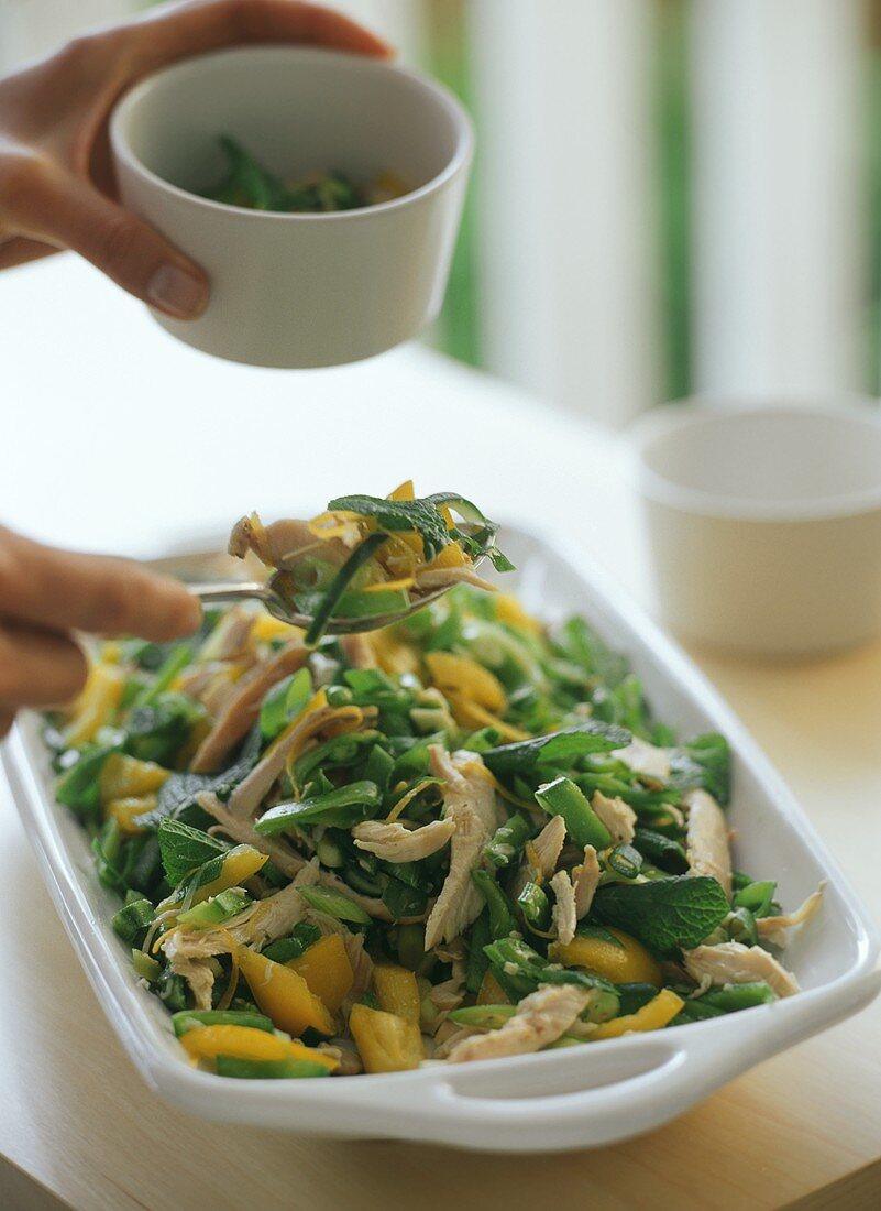 Vegetable salad with chicken and mint