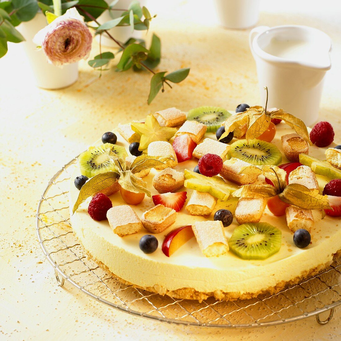 Cheesecake with fruit and sponge fingers