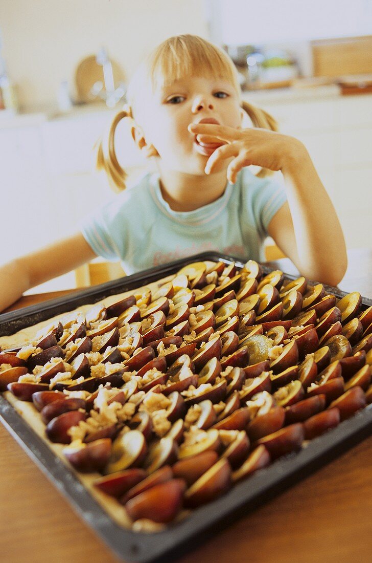 Kleines Mädchen kostet von Pflaumenkuchen auf Backblech