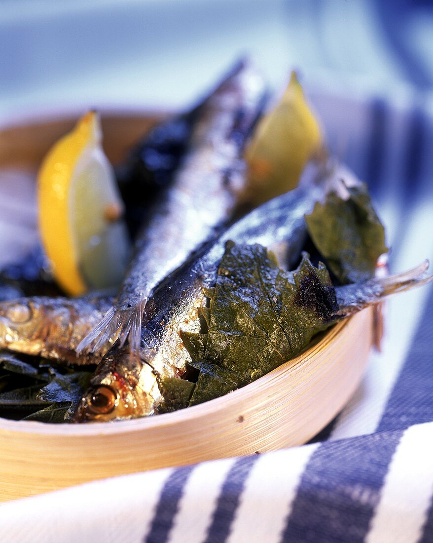 Grigliata di sarde alla turca (Sardinen in Weinblättern)