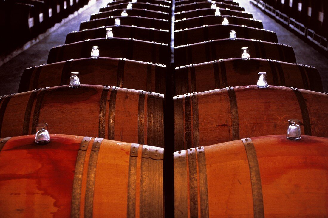 Wooden barrels in a wine cellar in the Chilean Maipo Valley