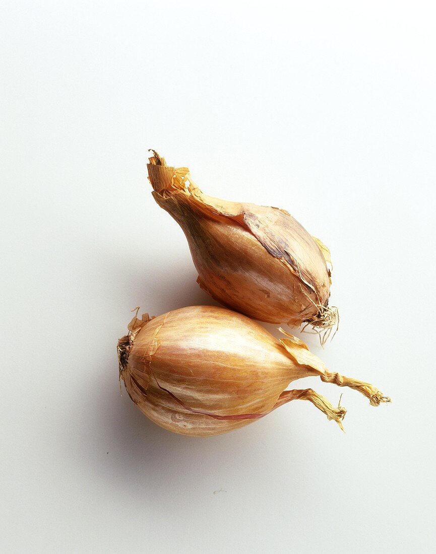 Two shallots