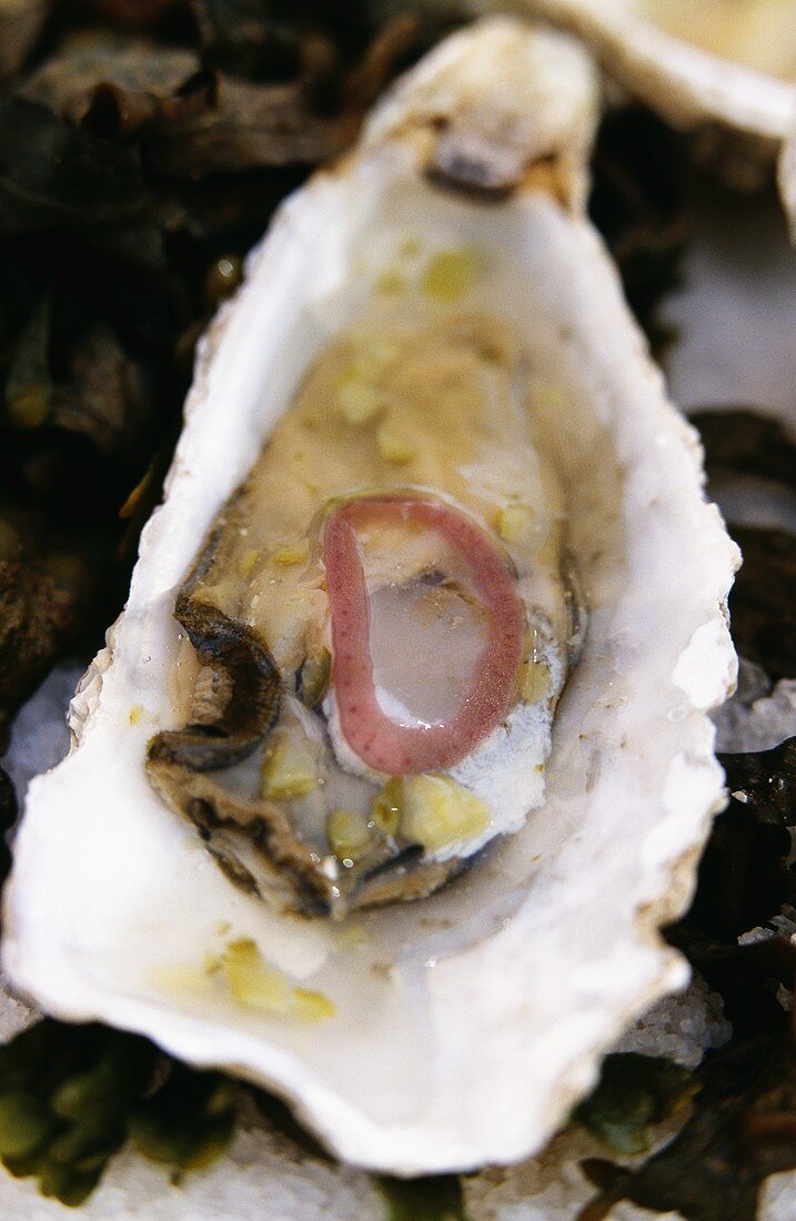Marinated oysters in their own shells