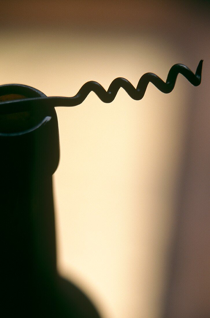 A corkscrew on a bottle