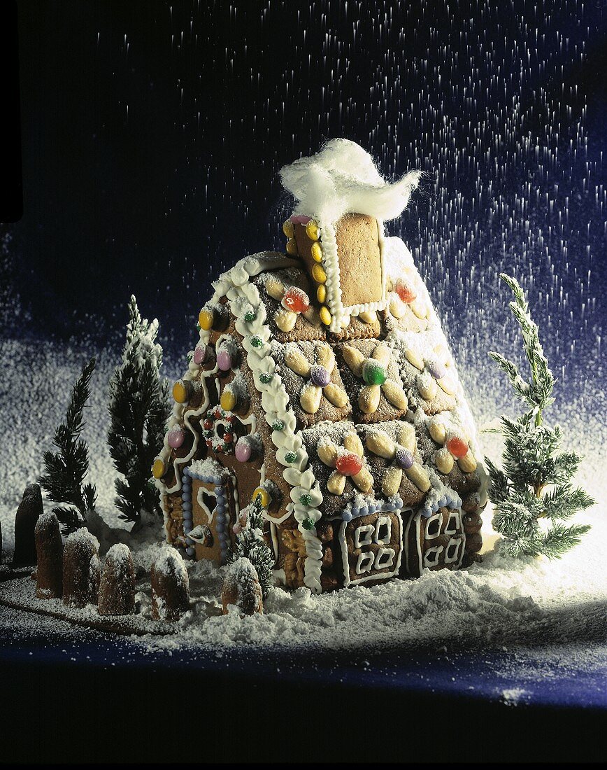 Icing sugar drizzling on to a gingerbread house