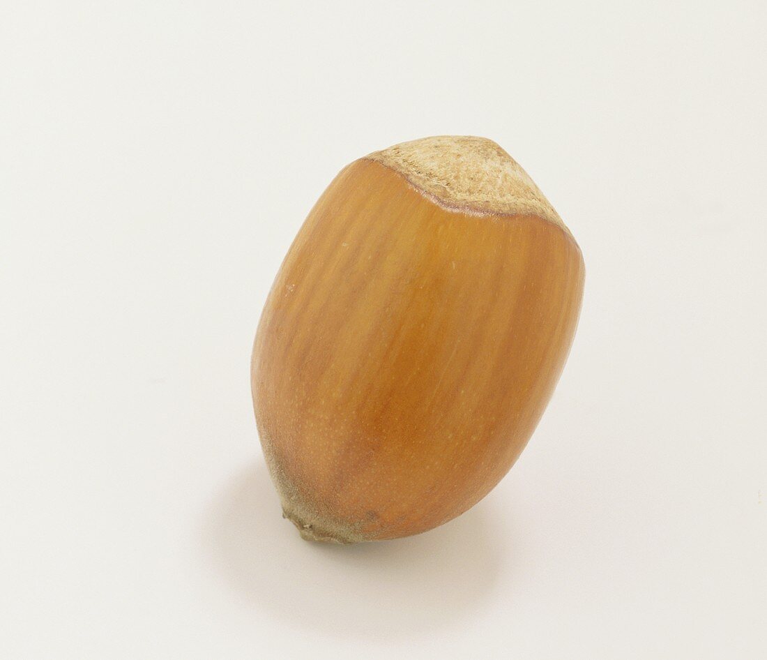 A whole hazelnut