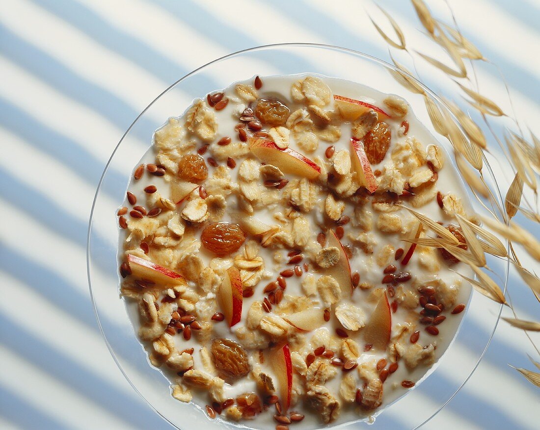A plate of muesli with pieces of apple
