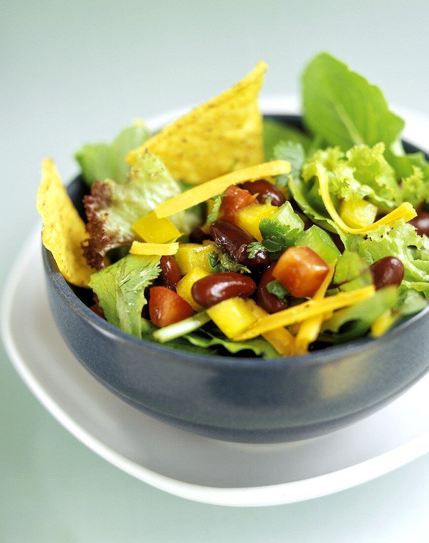 Gemischter Salat mit Tacochips