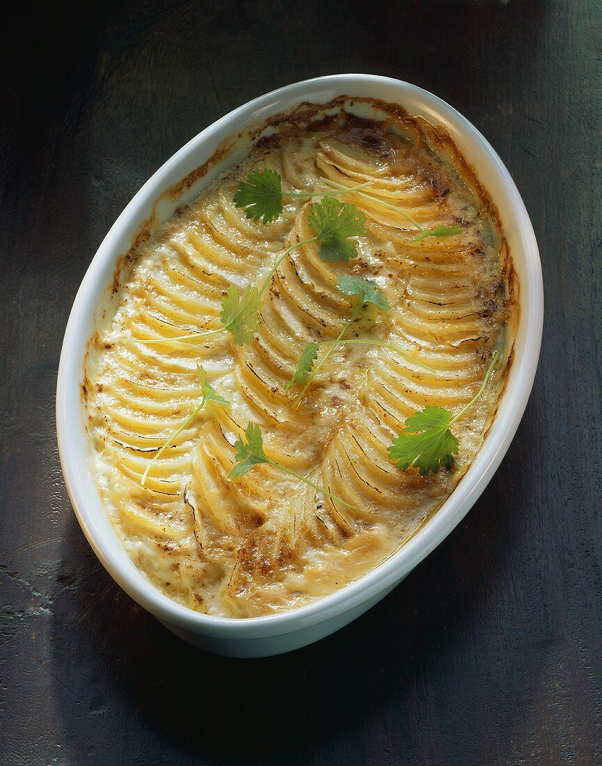 Potato gratin with coriander