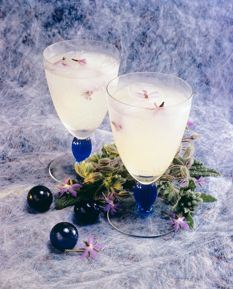 Champagnercocktail mit Borretschblüten