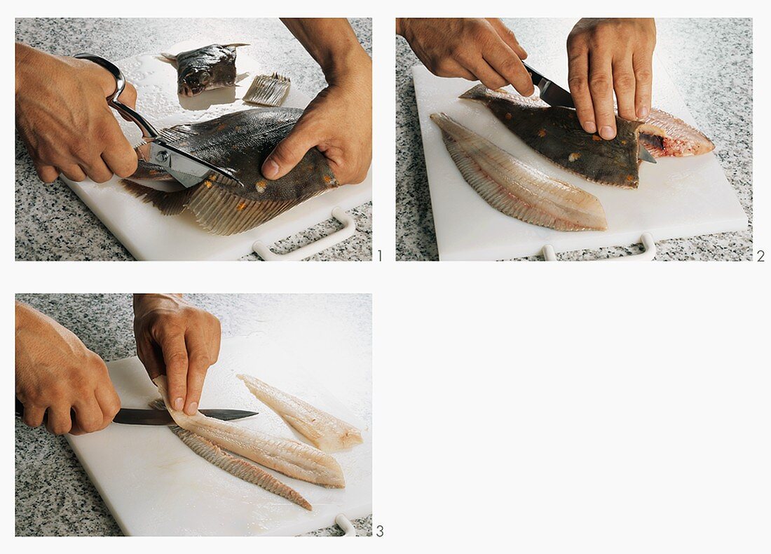 Preparing and filleting a plaice