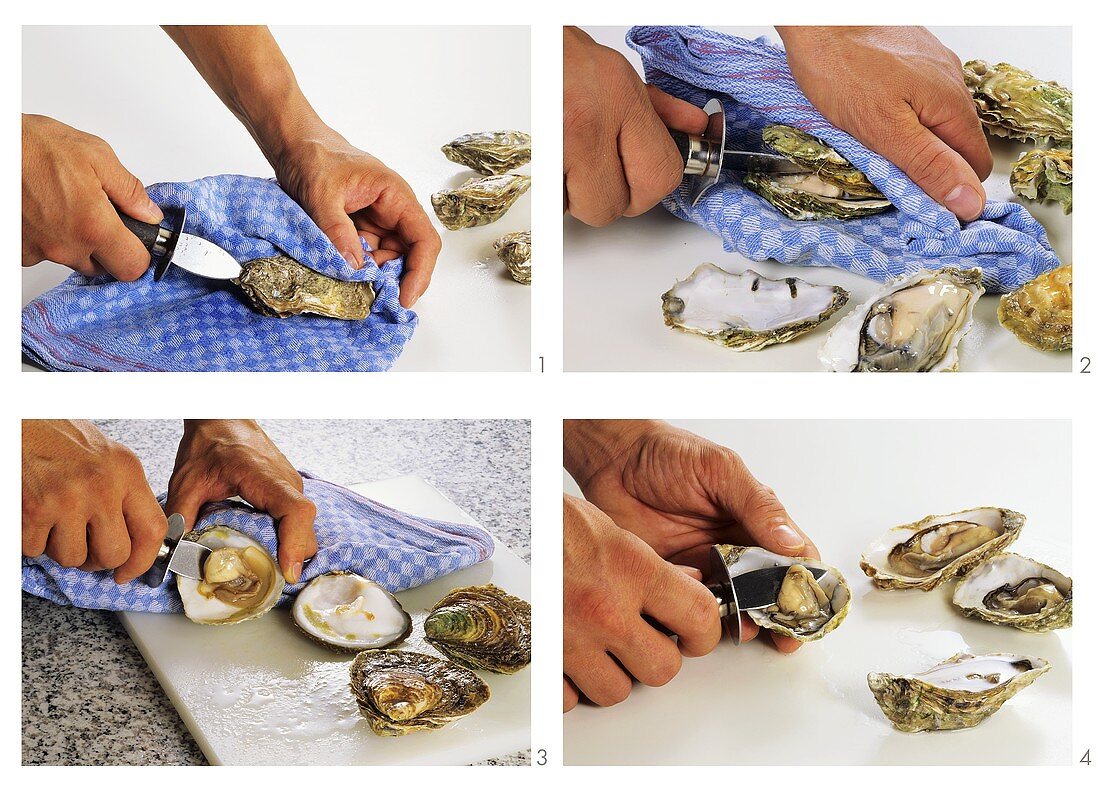 Opening oysters with oyster knife