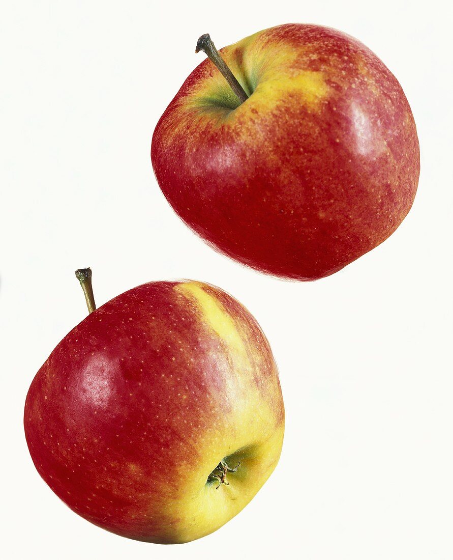 Zwei Elstar Äpfel