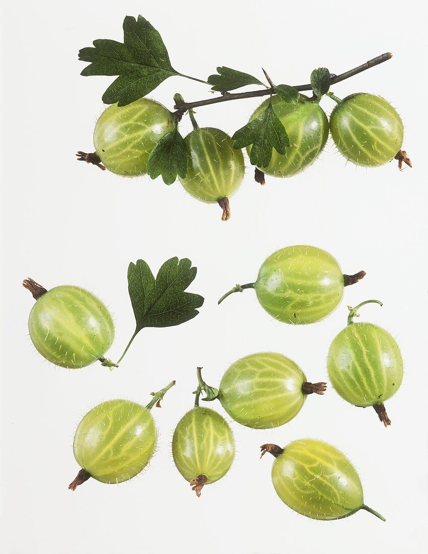 Several Gooseberries on White Background