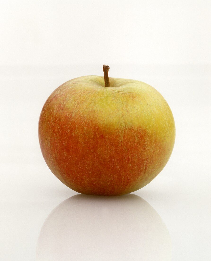 Ein Apfel der Sorte Cox Orange