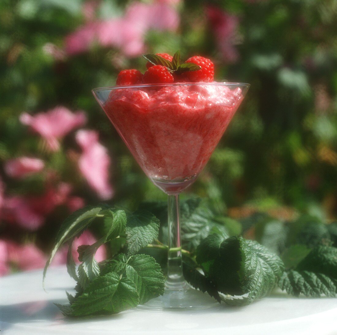 Raspberry whip with fresh raspberries in stemmed glass