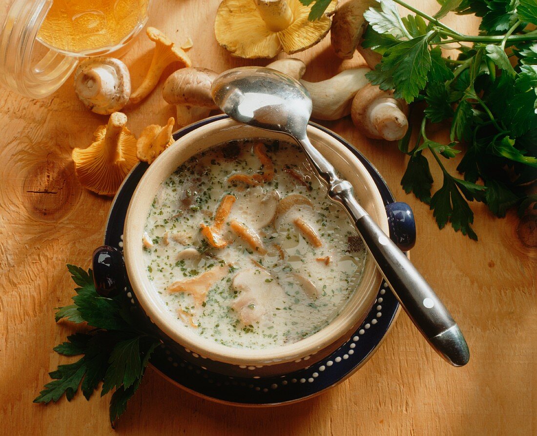 Thuringian forest mushroom soup