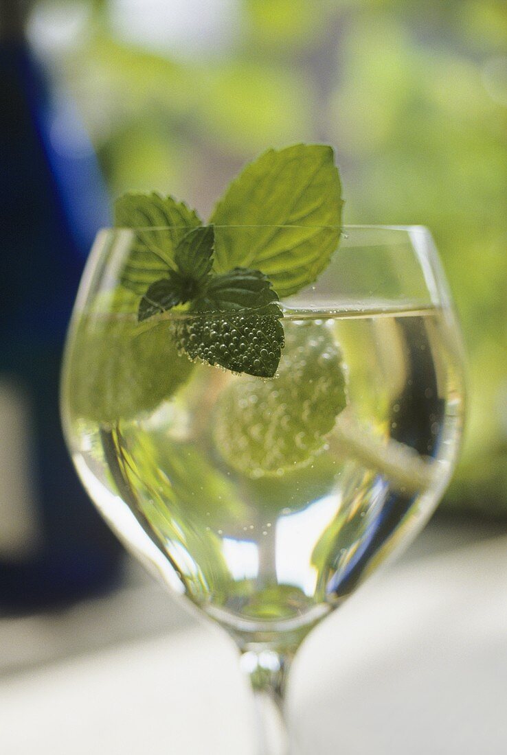 Ein Glas Weißwein, aromatisiert mit Minzblättchen