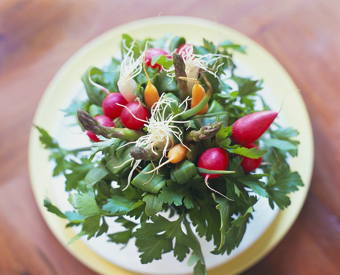 Bouquet of radishes, carrots, onions and asparagus