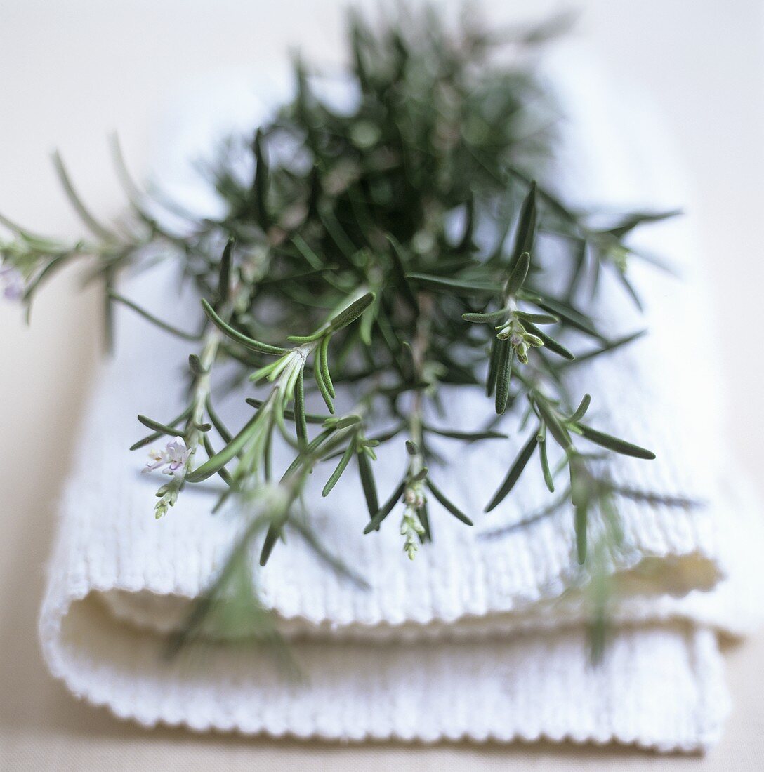 Sprigs of rosemary on a fabric napkin