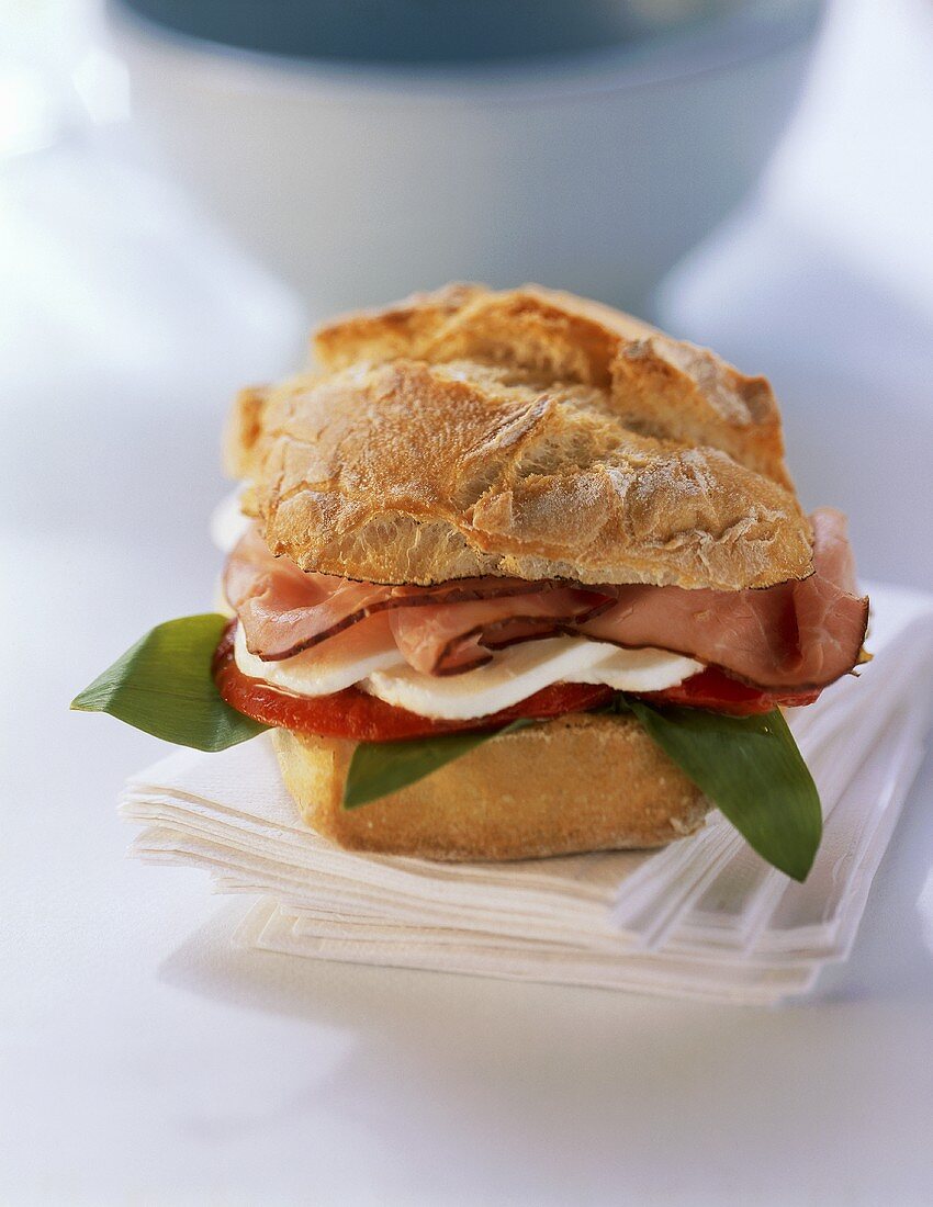 Ham and mozzarella sandwich on paper napkins