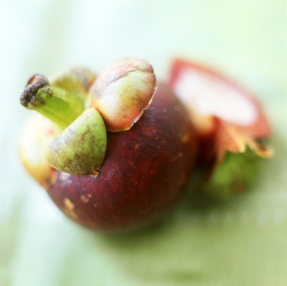 Mangosteens on a green background