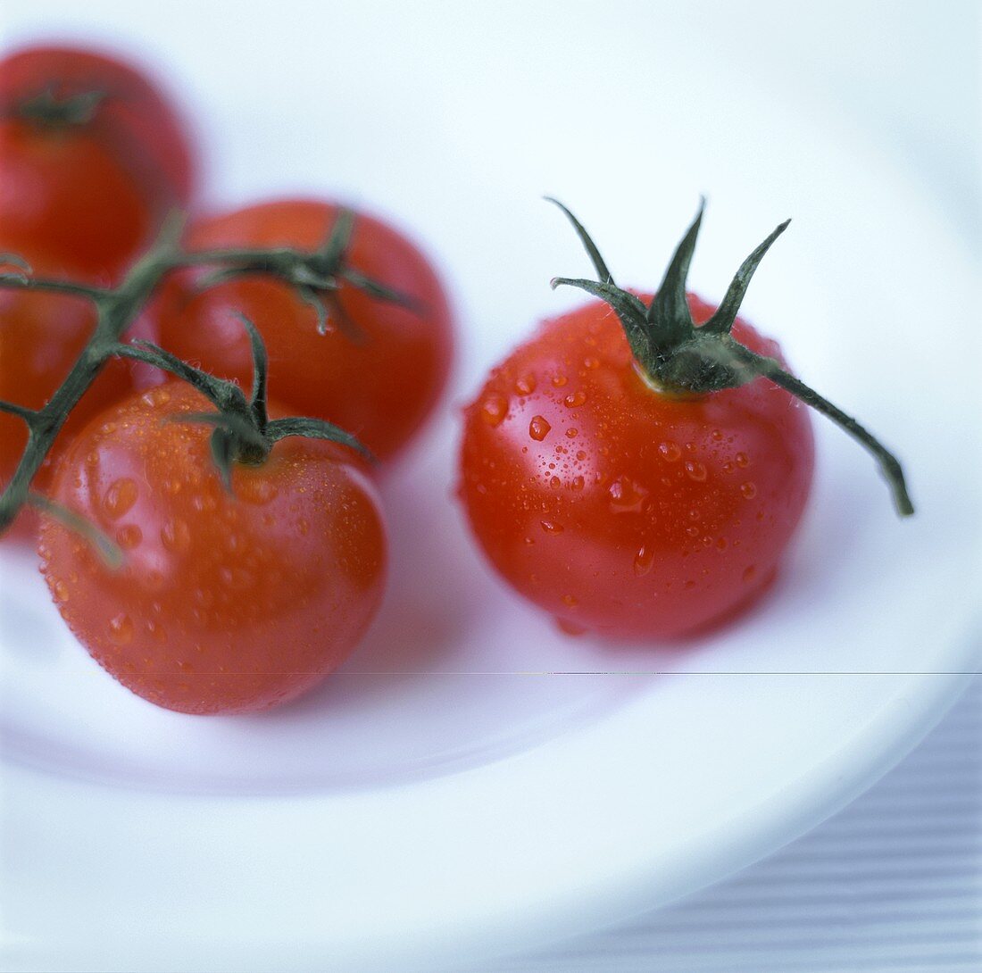 Frisch gewaschene Tomaten auf einem Teller