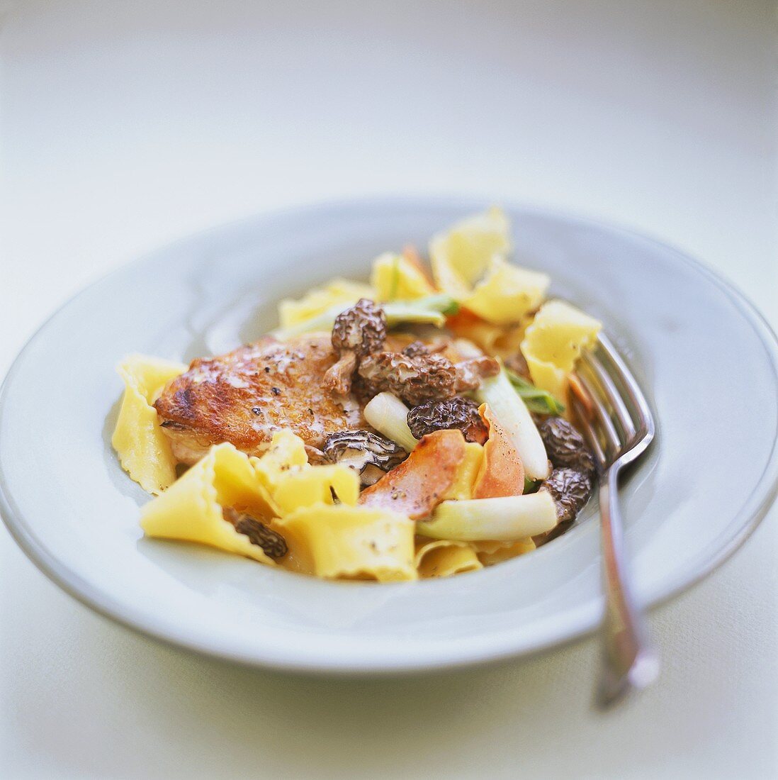 Pork medallion with morels and ribbon noodles