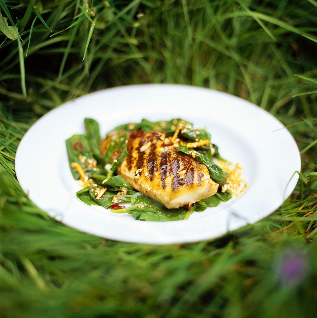 Plate of grilled chicken breast & spinach in the country