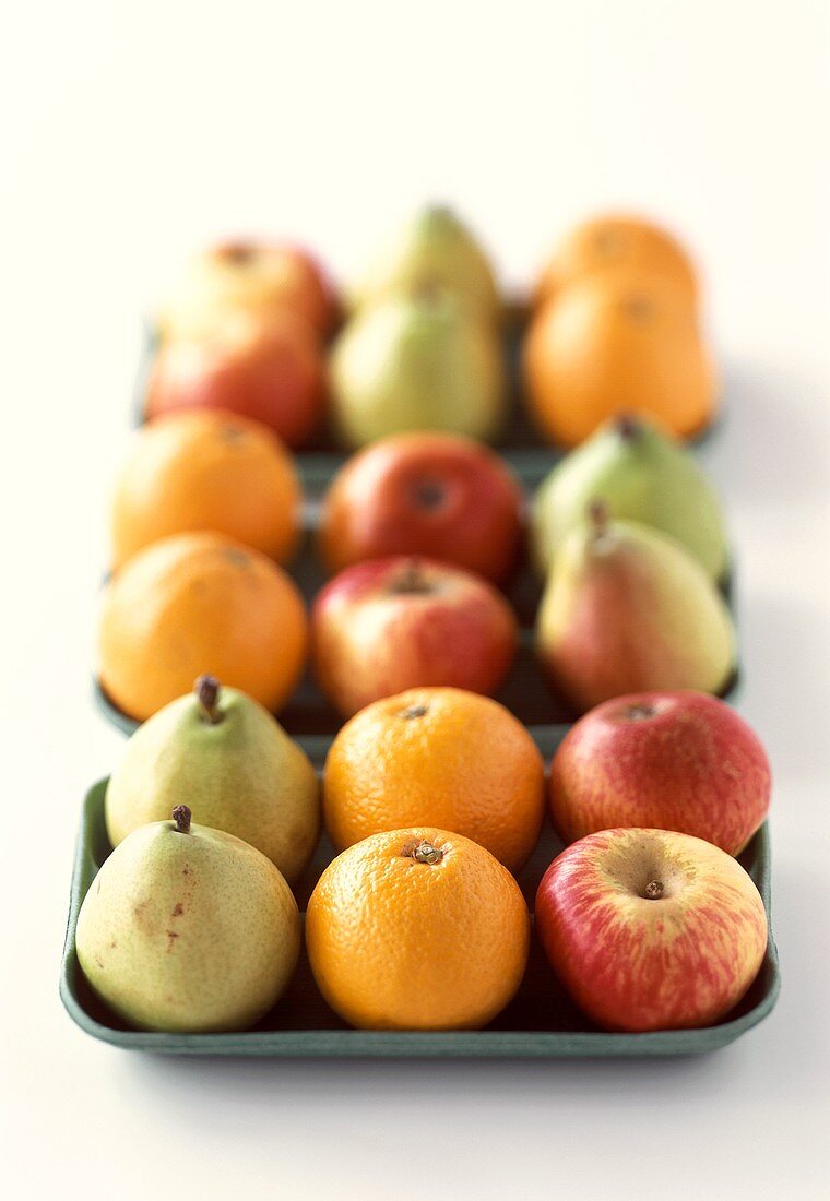 Birnen, Orangen und Äpfel auf grünem Tablett