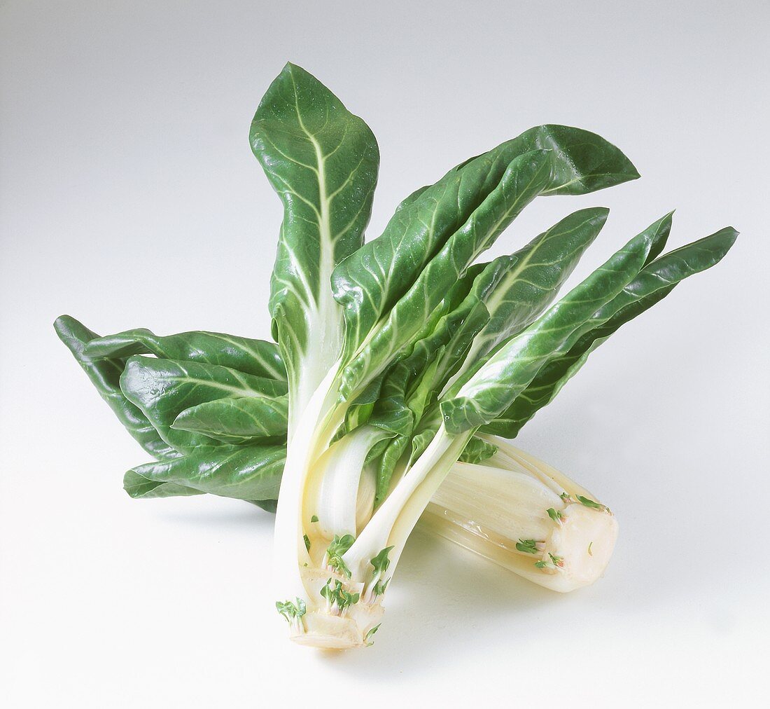 Fresh chard