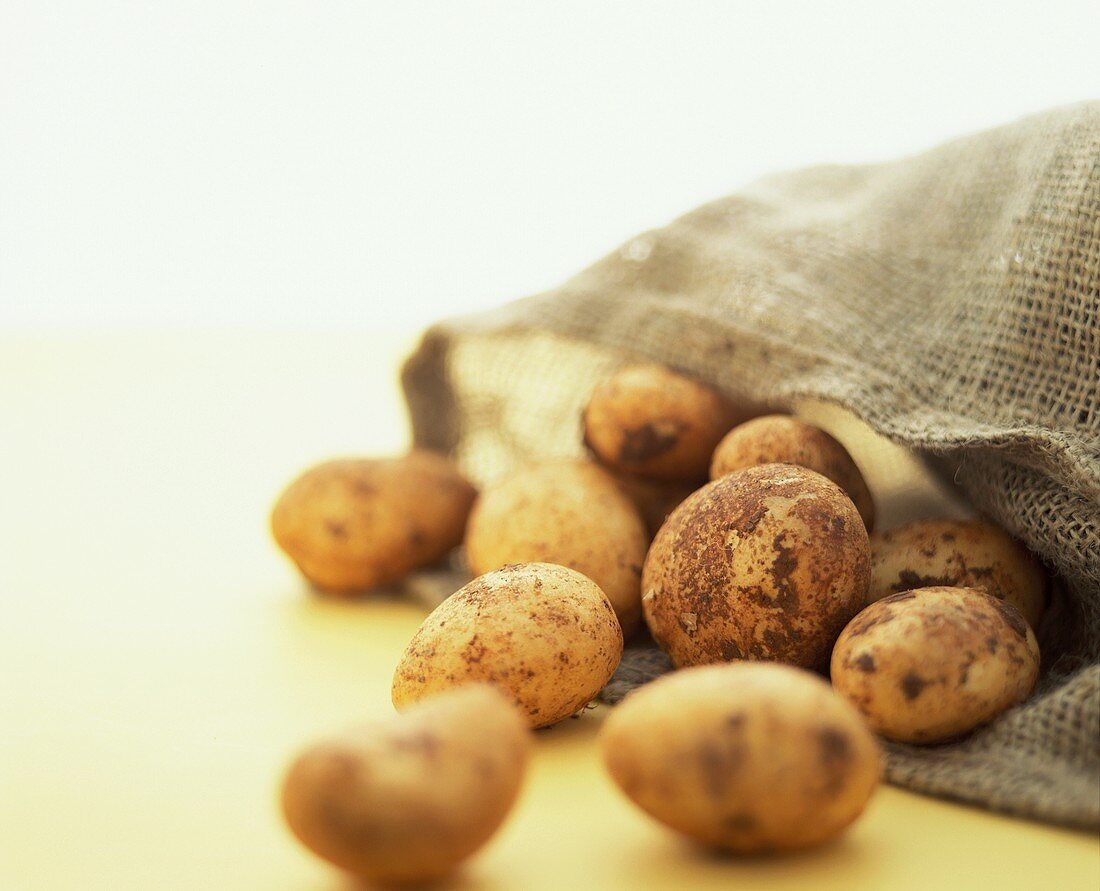Kartoffeln in und neben einem Jutesack