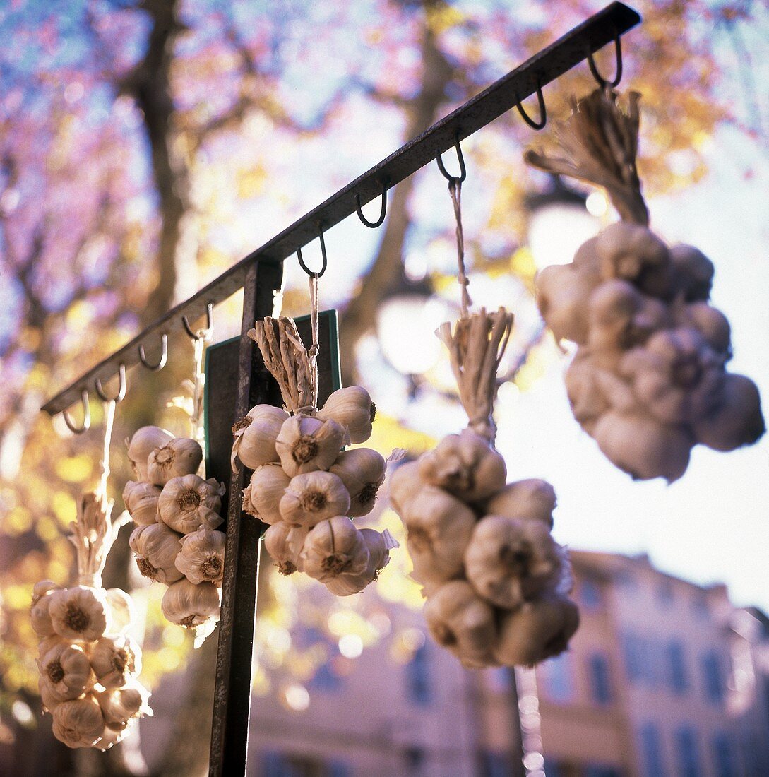 Garlic ropes hanging in front of a vegetable stall