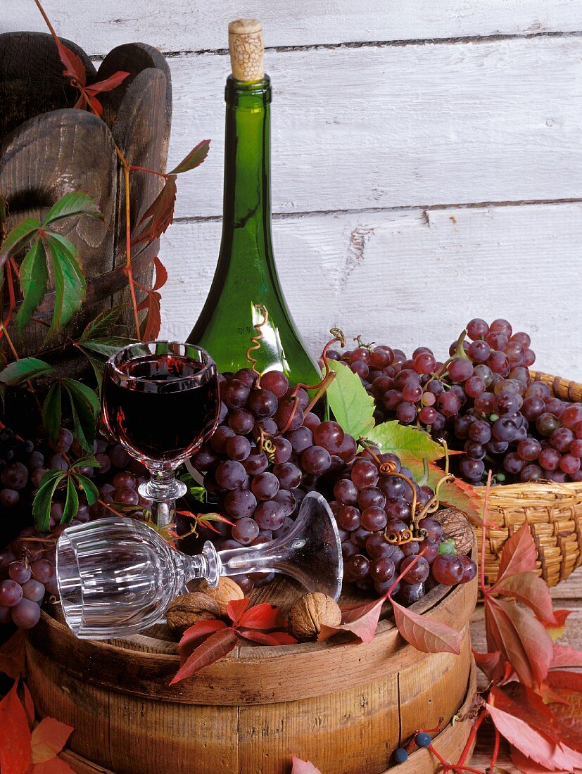 Still life with red wine grapes and a glass of red wine