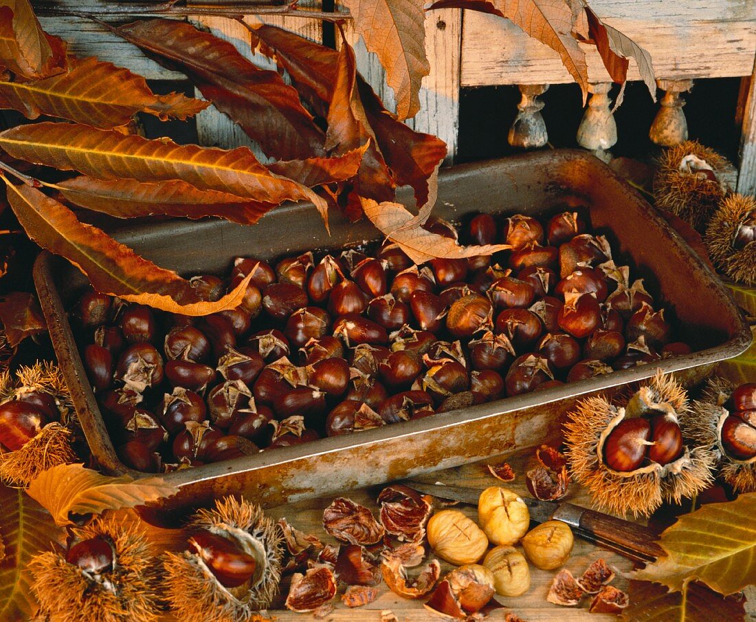 Roasted sweet chestnuts in a loaf tin