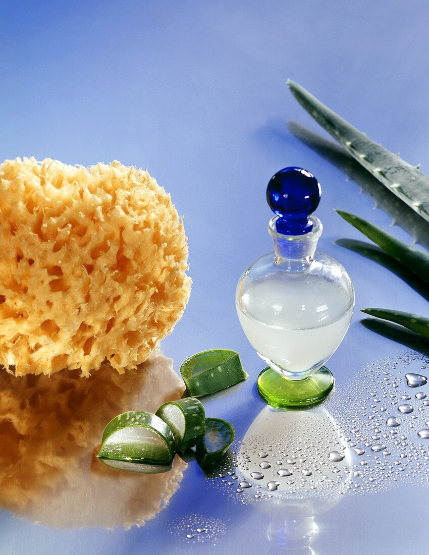 Aloe juice, fresh Aloe vera and bathroom sponge