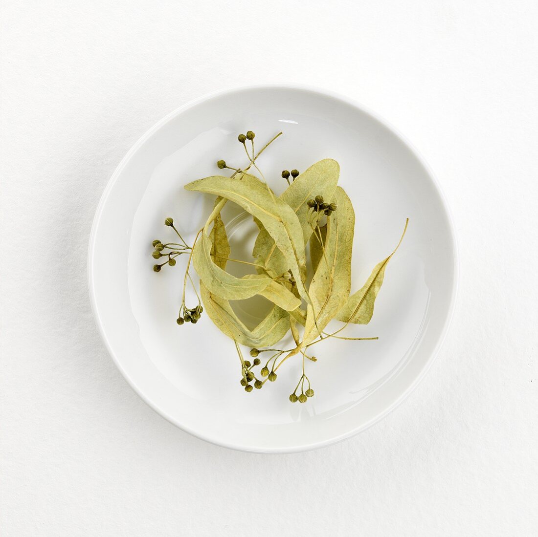 Lime blossom tea (dry) on plate