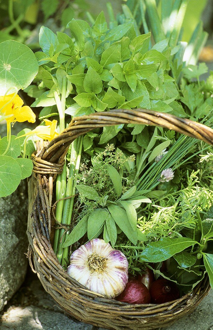 Frische Kräuter, Knoblauch und Zwiebeln im Korb im Freien