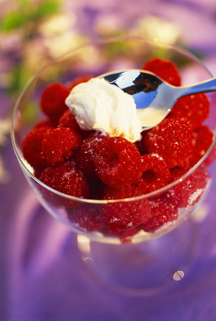 Frische Himbeeren mit Zucker und Löffel Creme fraiche