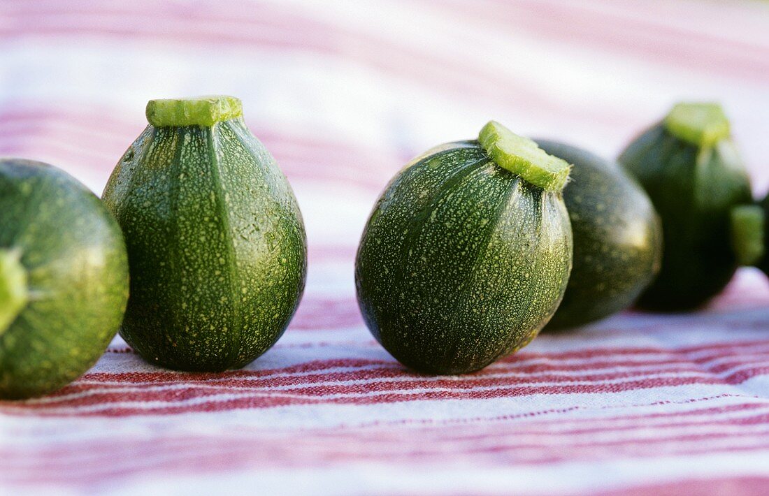 Runde Zucchini in einer Reihe